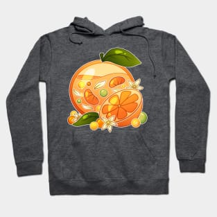 Glass Orange Hoodie